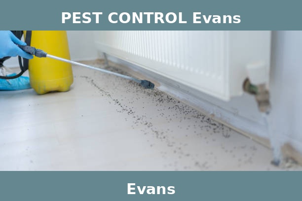 PEST CONTROL Evans